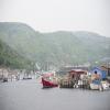 images/Gallery Newfoundland/c130006_185rr-1000 pixels @ 72 dpi.jpg